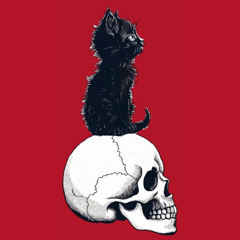 Niedliches Kätzchen sitzt auf einem Schädel