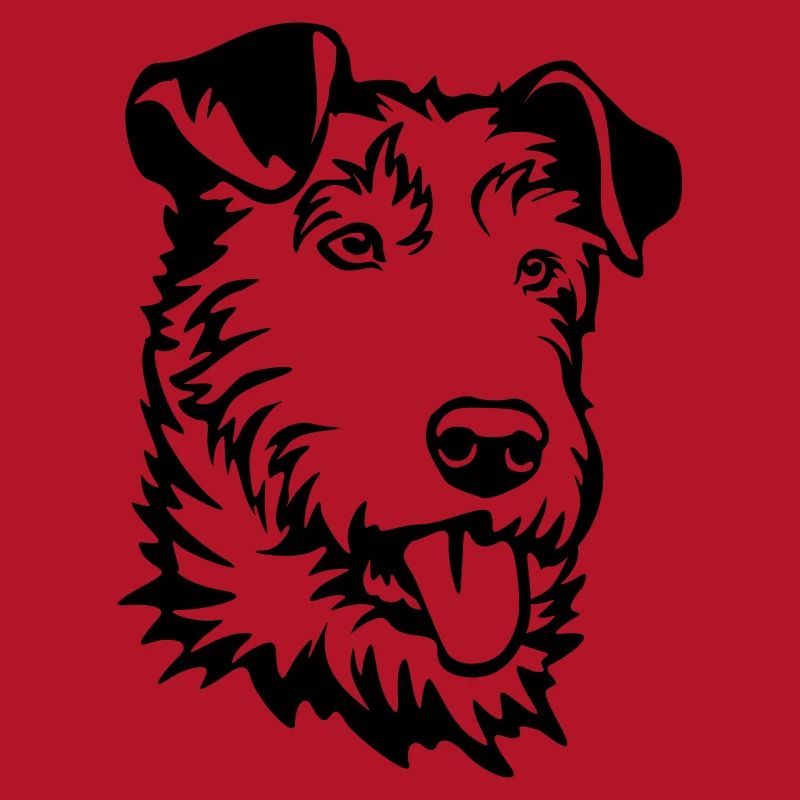 Irish Terrier Head
