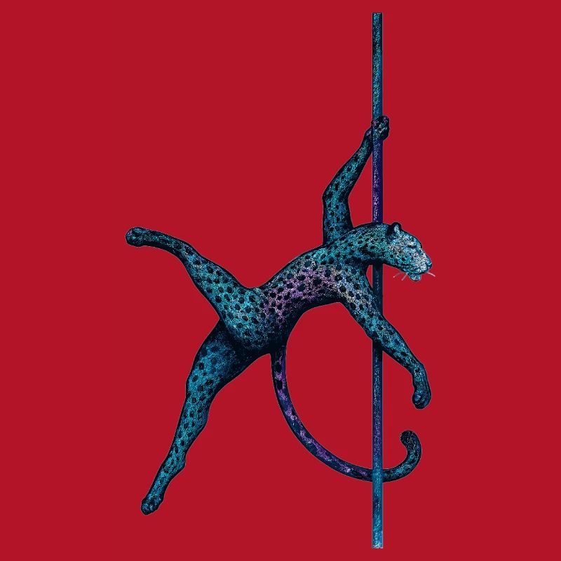 Pole dance Léopard Pole Dancer Pole Cadeau