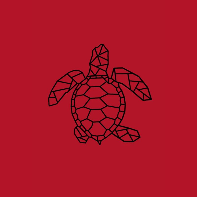 Turtle gift idea