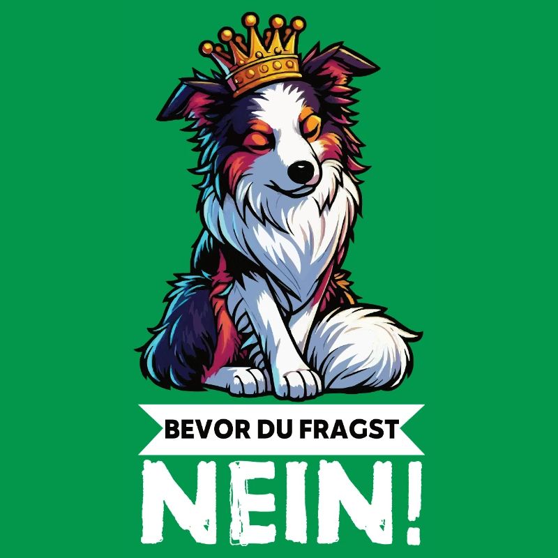 Bevor Du Fragst Australian Shepherd Aussie Aussie
