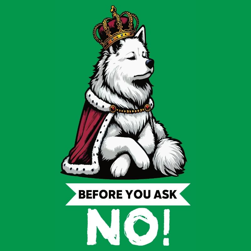 Before You Ask White Shepherd Shepherd