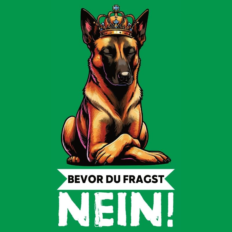 Before you ask: Malinois Belgian Shepherd