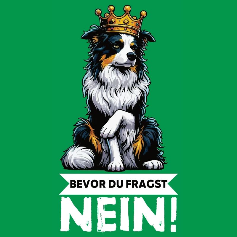 Bevor Du Fragst Australian Shepherd Aussie Aussie