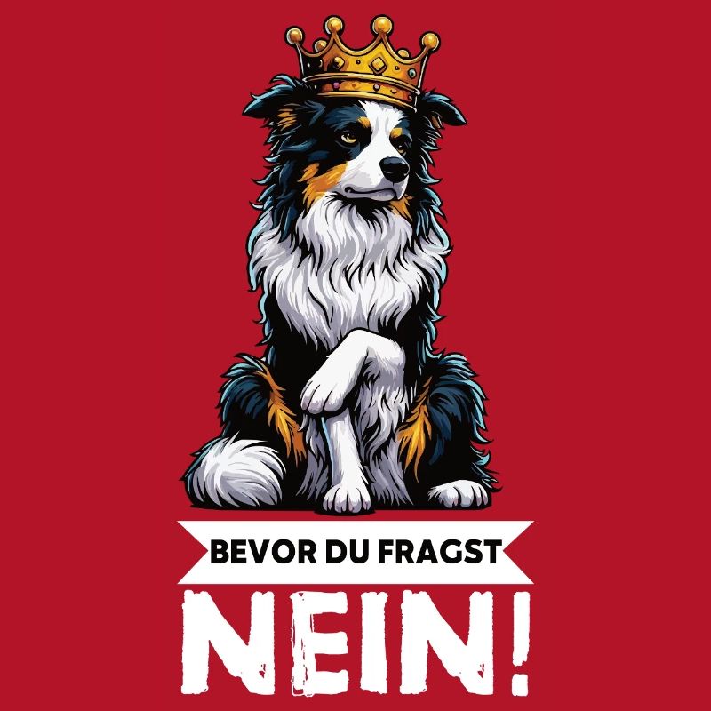 Before you ask: Australian Shepherd Aussie Aussie
