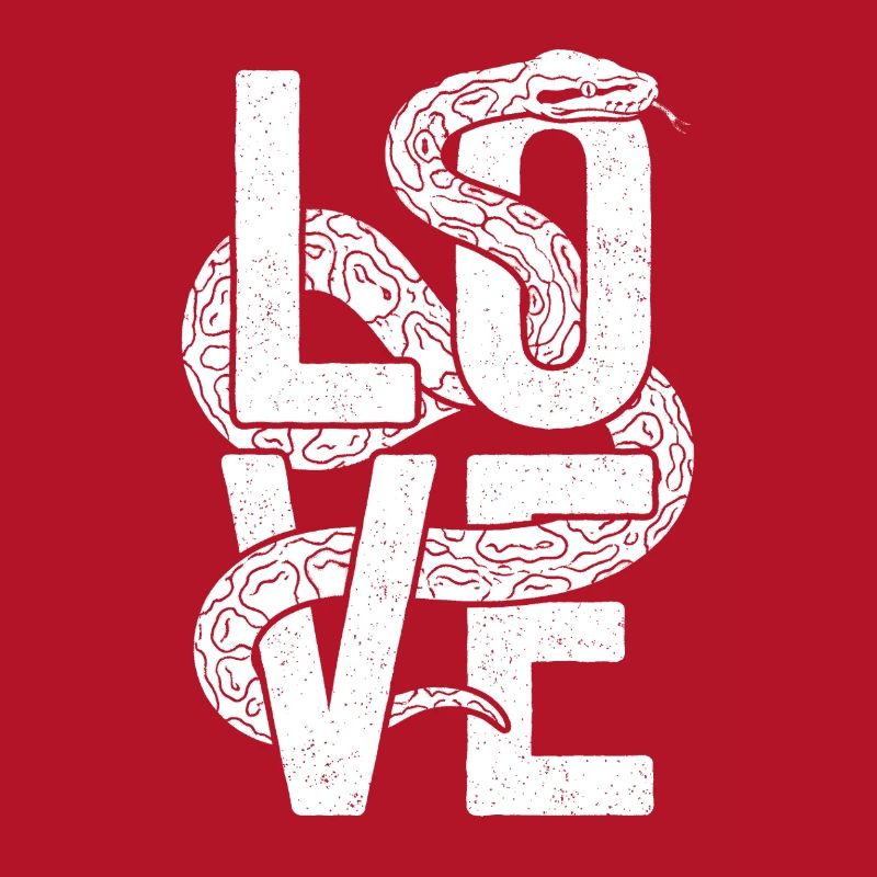 Les serpents rois Python ADORENT les pythons de terrarium