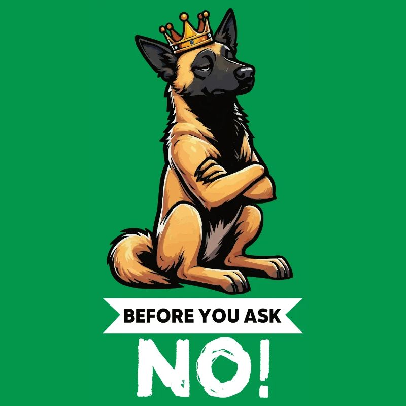 Before You Ask Malinois Belgian Shepherd Dog