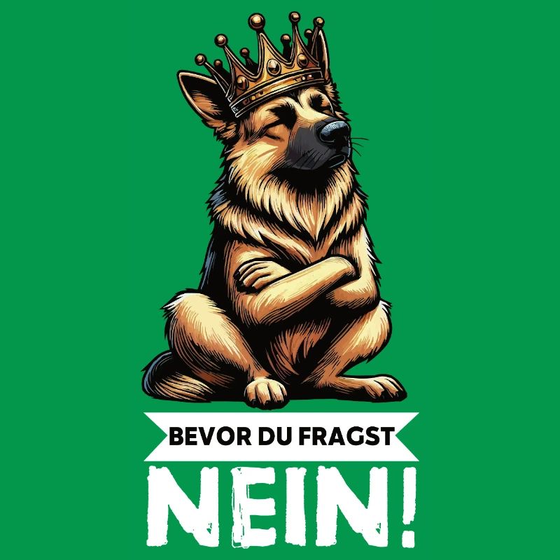 Bevor Du Fragst Deutscher Schäferhund Schäferhunde