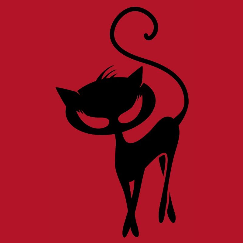 A black cat