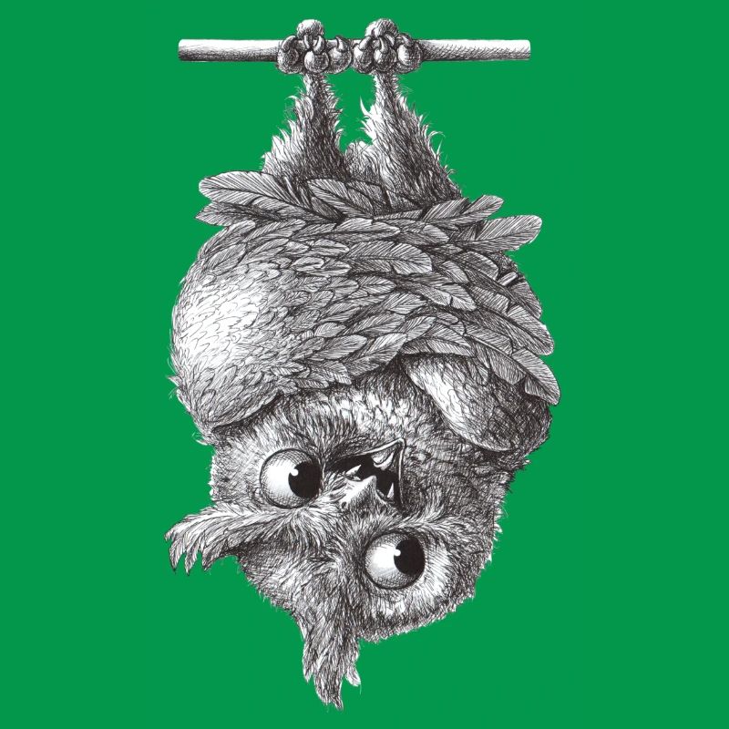 Vampir Eule - Dracula Eule