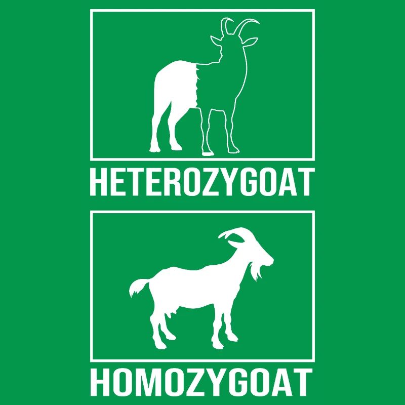 Molecule Structural Formula