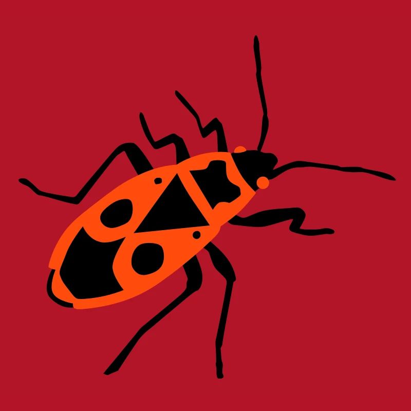 Fire beetle - insect - Firebug