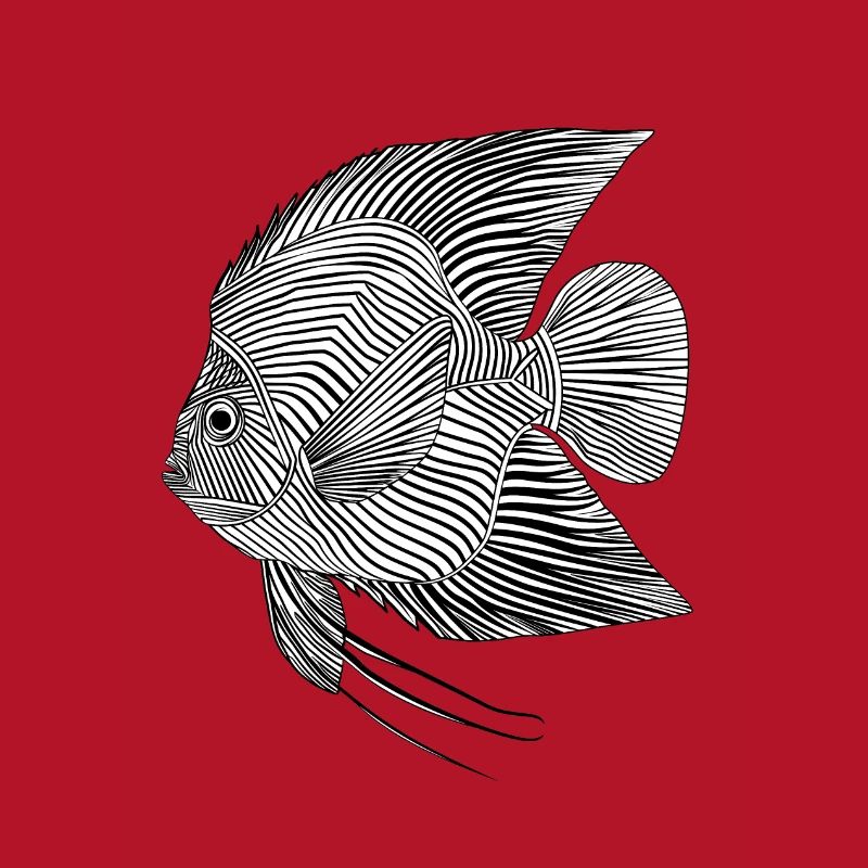 Lines art fish #fish
