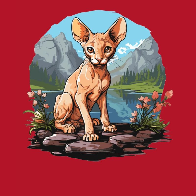 Chaton Cornish Rex Chat Cornish Rex