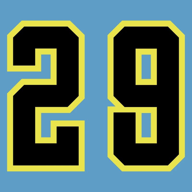 29 Number Jersey