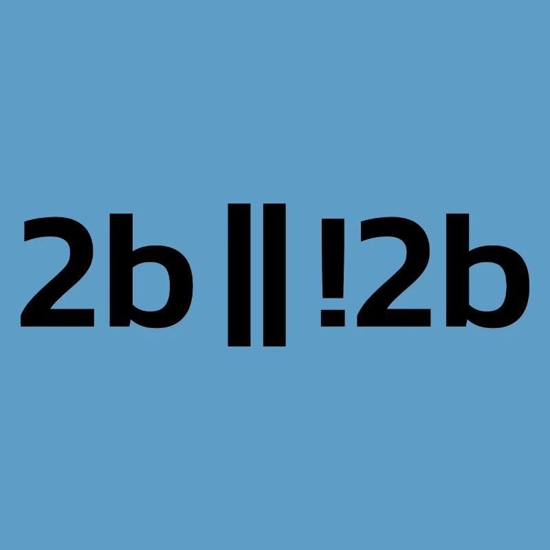 To be or not to be ? Funny Programmer Programer