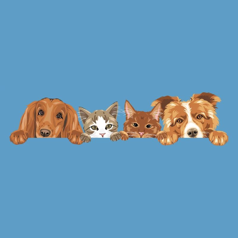 Jeter un coup d’œil à deux chats mignons et deux chiens