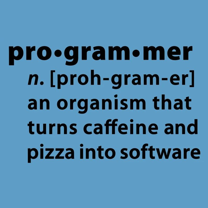 Programmer dictionary definition