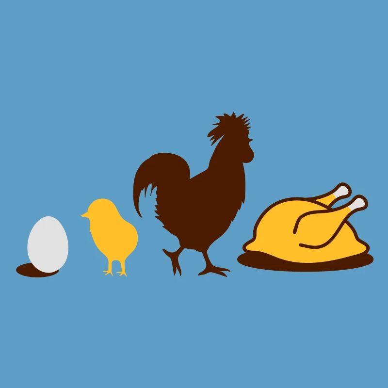 Egg,chick, rooster and chicken poultry Evolution