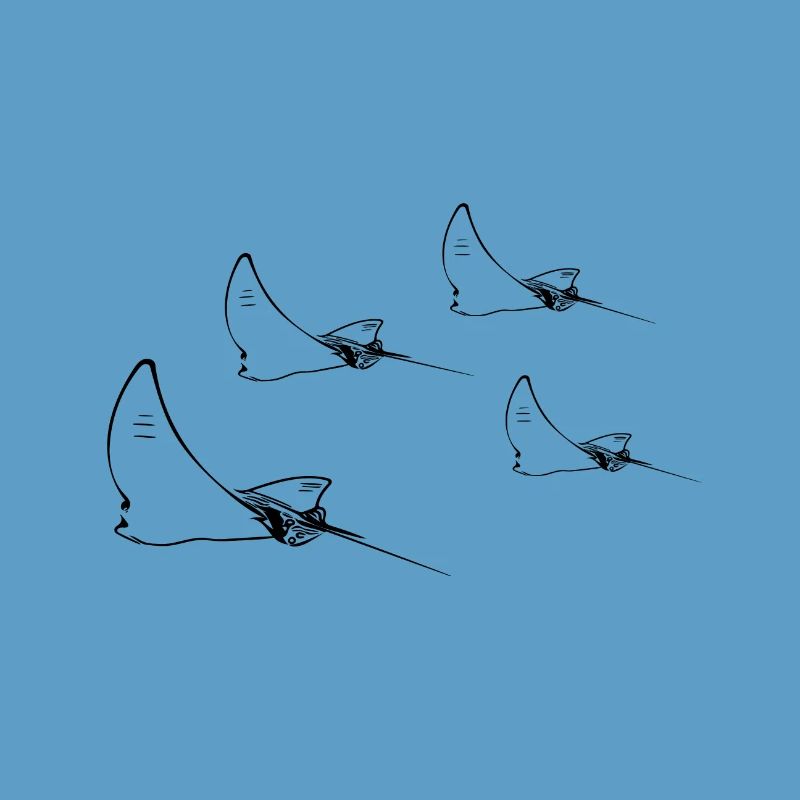 Formation de vol Eagle Ray