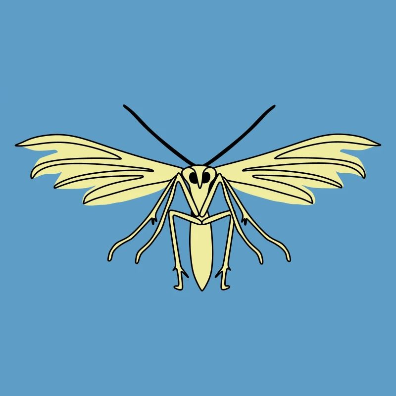 Feather moth