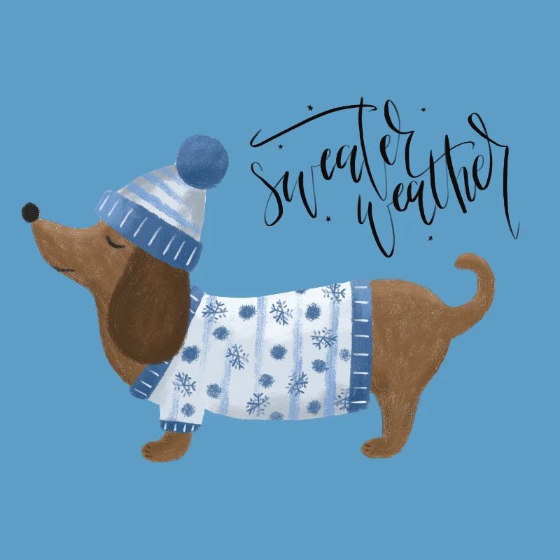 Teckel avec pull et chapeau Pull Météo bleu