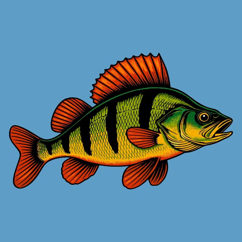 Perche Perche Perche Perche Perche Pêche Perche Perche