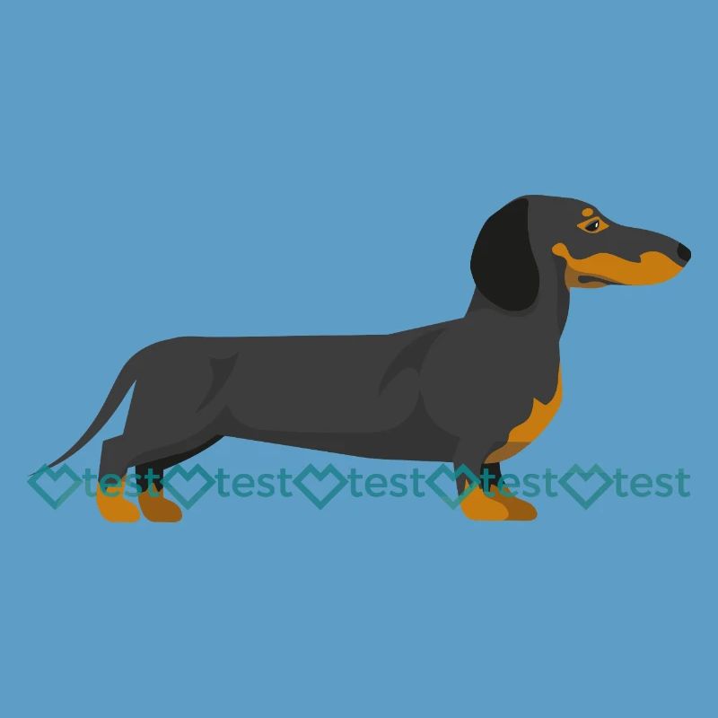 Dachshund silhouette with watermark pattern