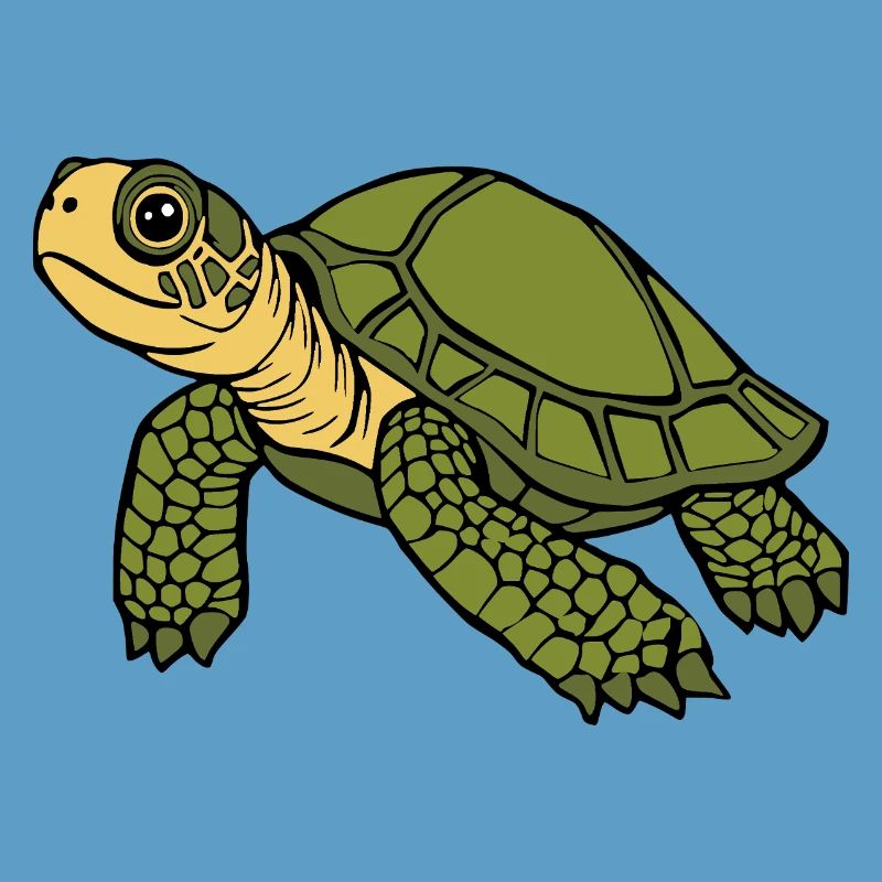 Turtle Turtles