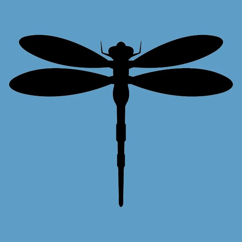 Libellule
