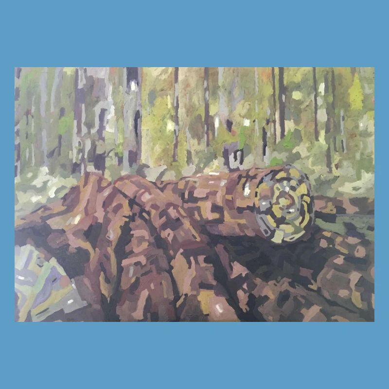 Logs in the forest – an impressionistic landscape