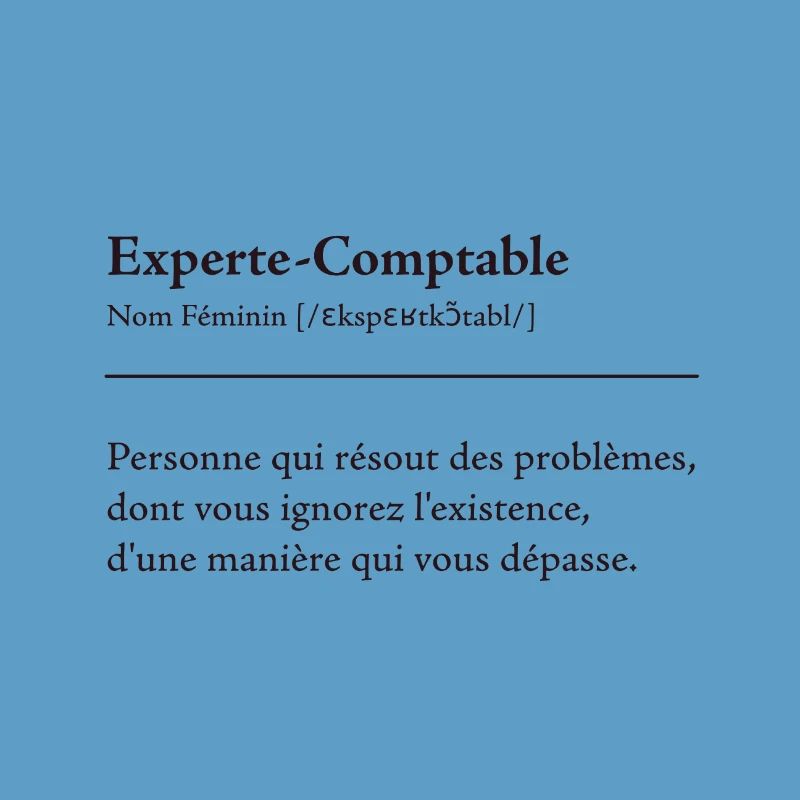 Experte Comptable Definition