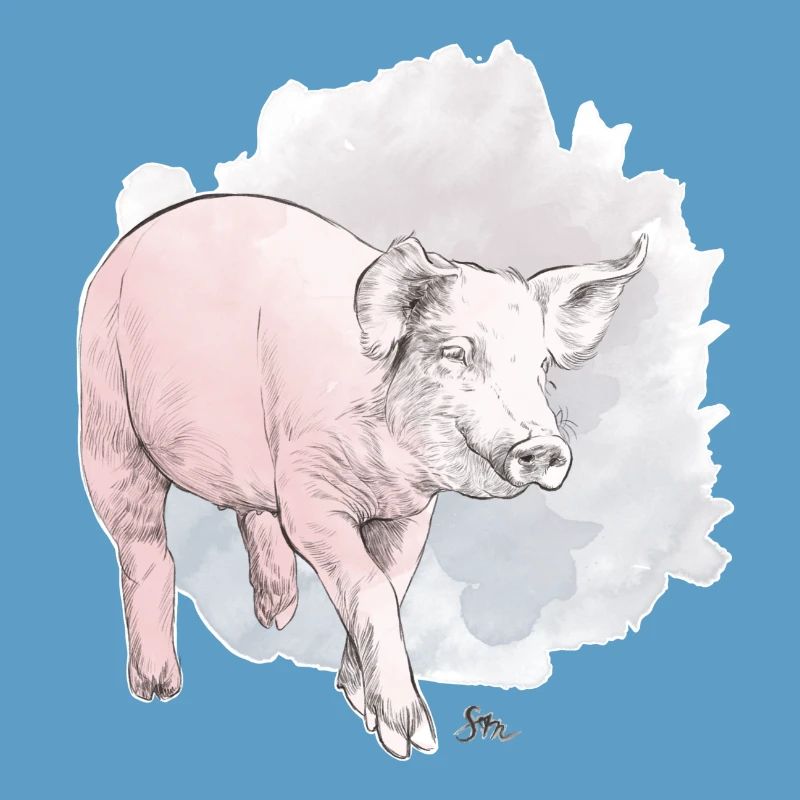 Cochon mignon devant une masse colorée