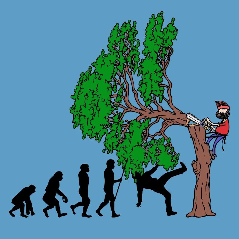 Tree Evolution Bois Bûcheron Forêt de bûcherons