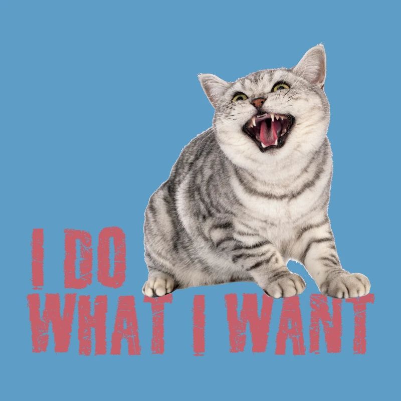 Chat : Je fais ce que je veux
