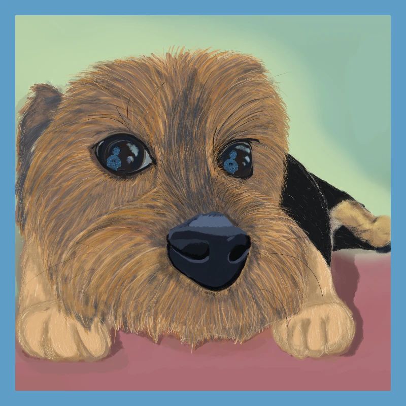 Hundeaugen oder Liebesreflex