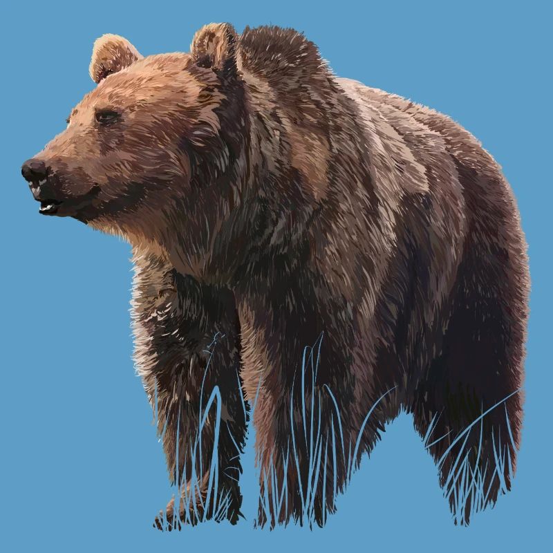 Realistic bear illustration on textile
