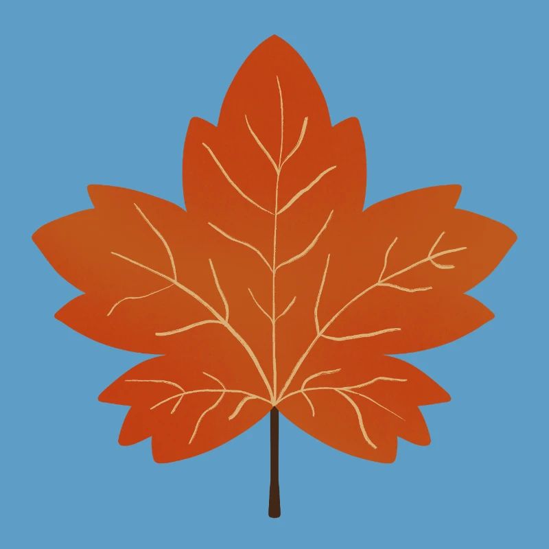 Autumn Maple Leaf Illustration