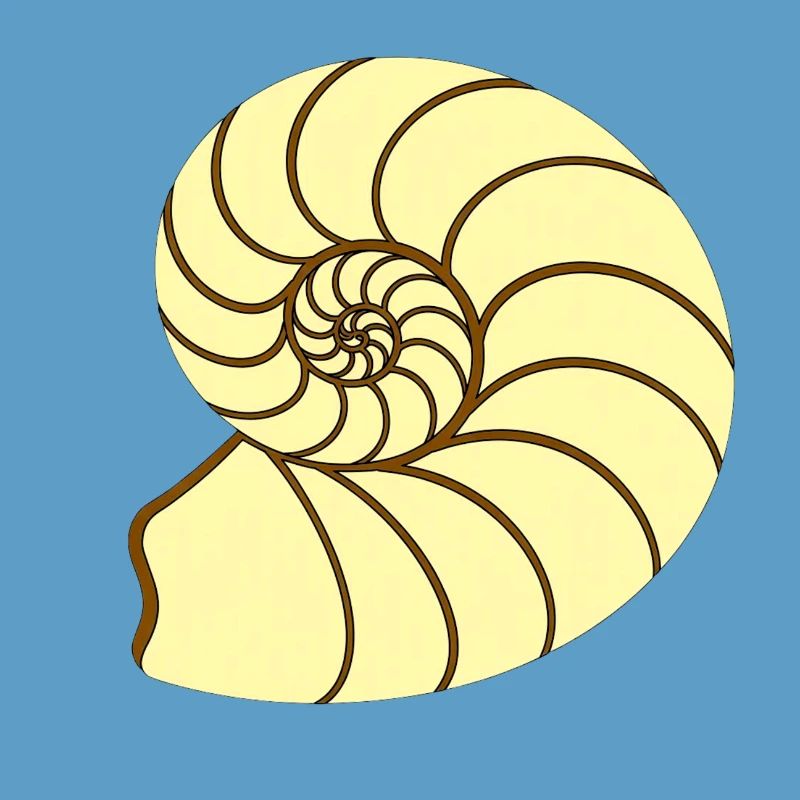 Ammunit Drawing
