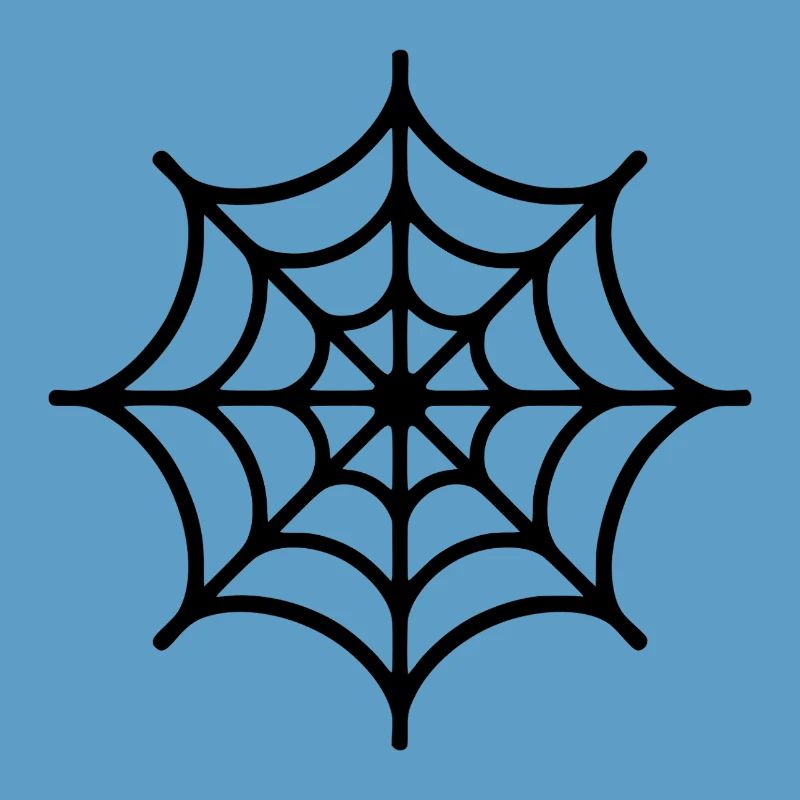 Spider Web Spider