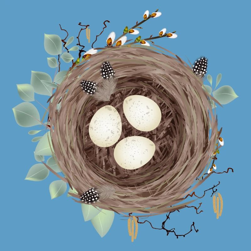 Vogelnest oder Osternest mit drei Eier und Federn