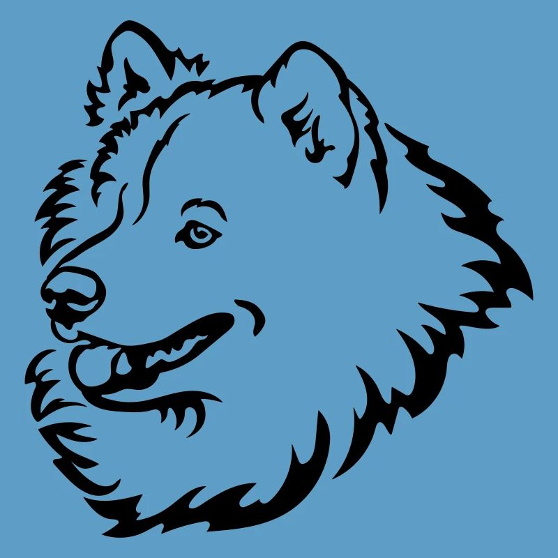 Samoyed head
