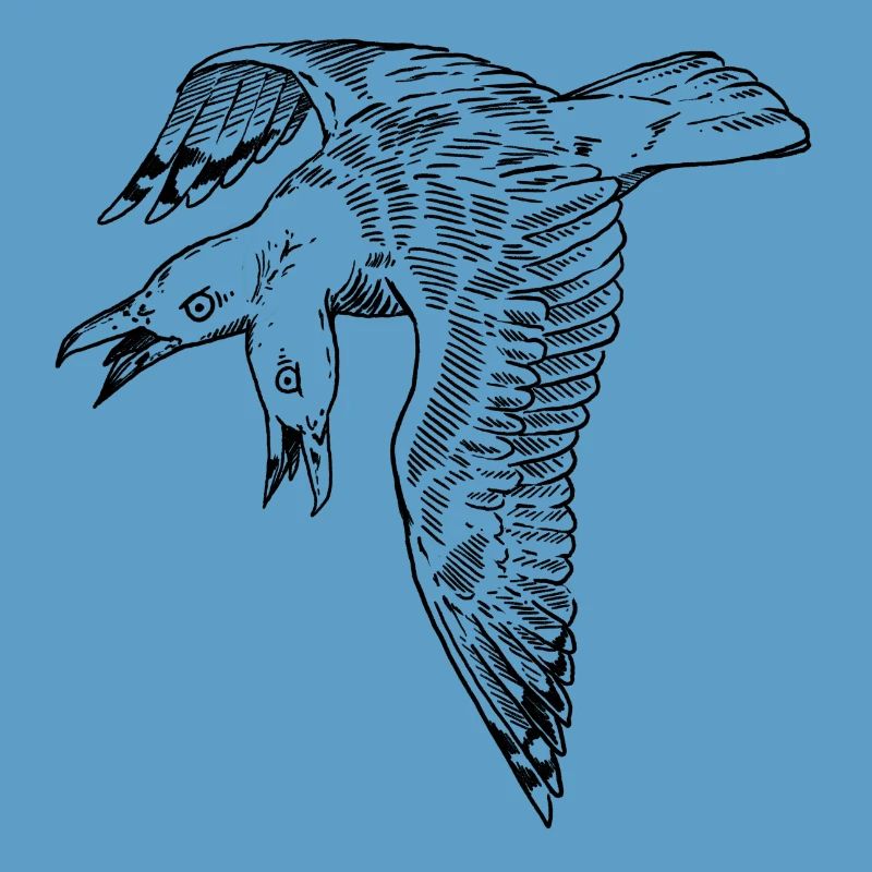 Two-headed seagull