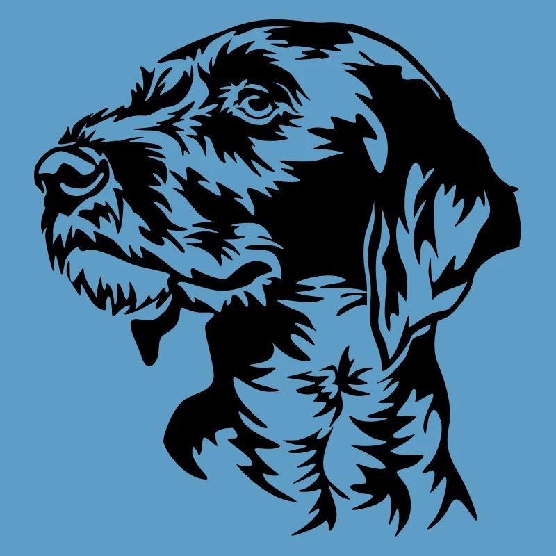German Wirehaired Pointer head