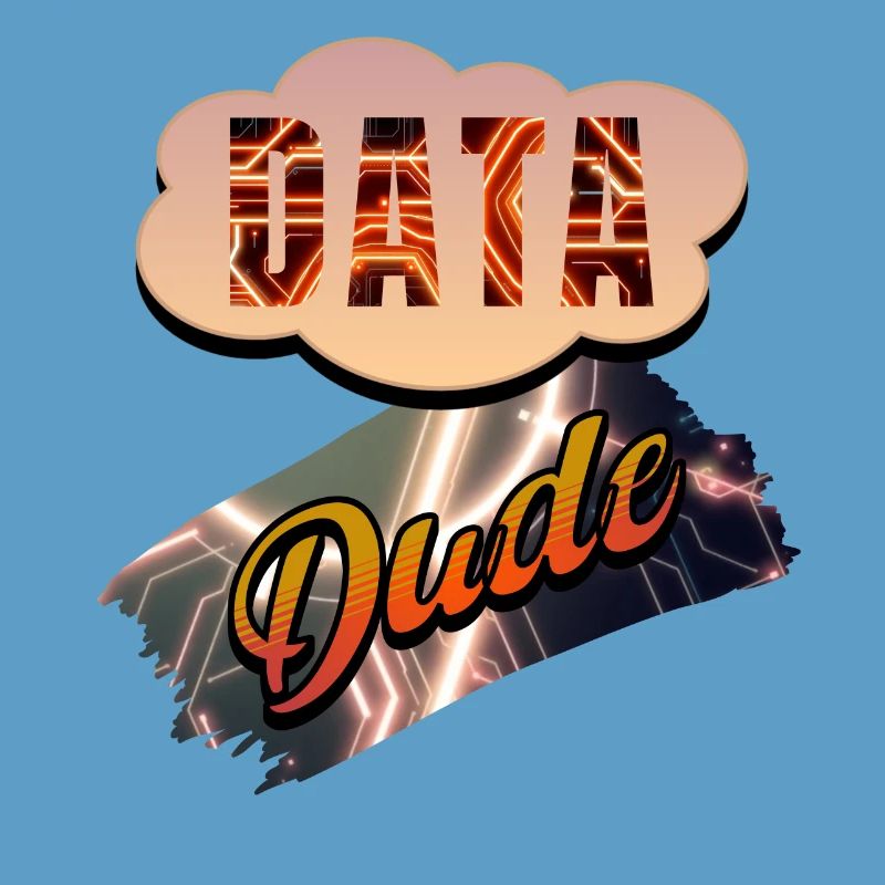 Data Dude