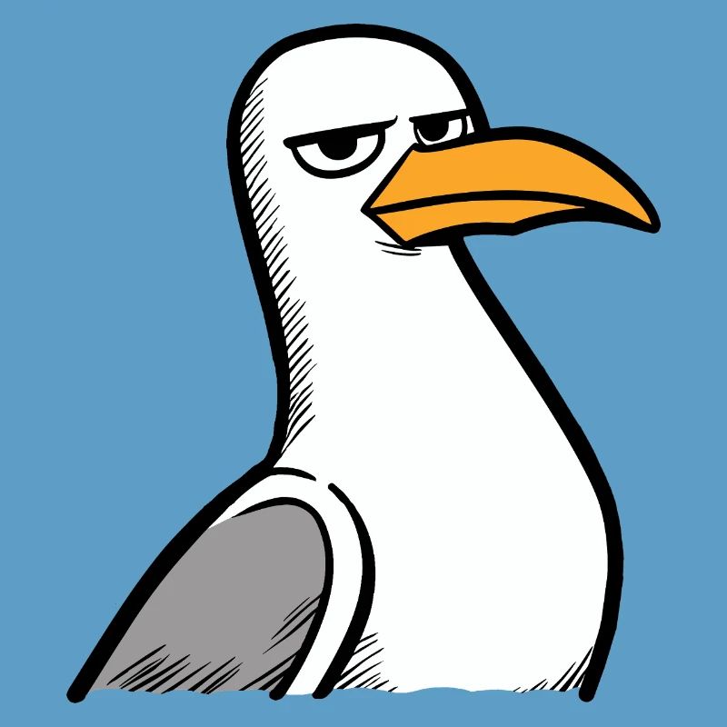 Seagull View
