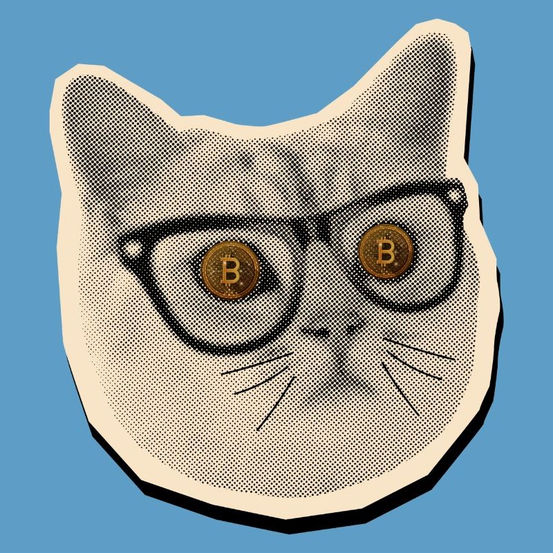 Comic-Katze mit Bitcoin-Brille