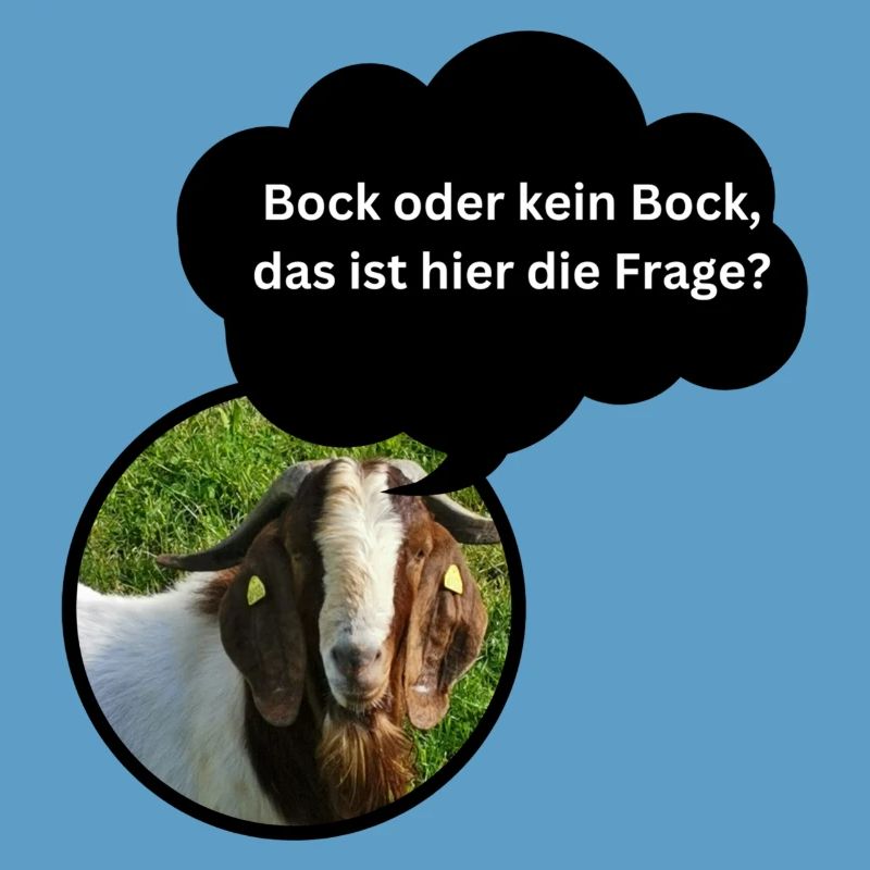 Fun Shirt "Bock oder kein Bock..."