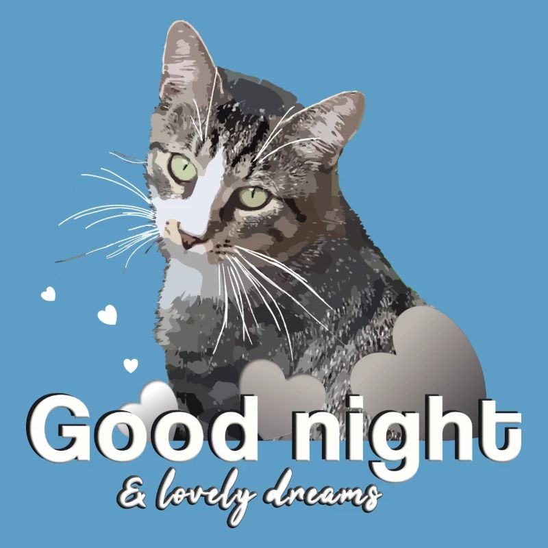 Sleep shirt good night good night