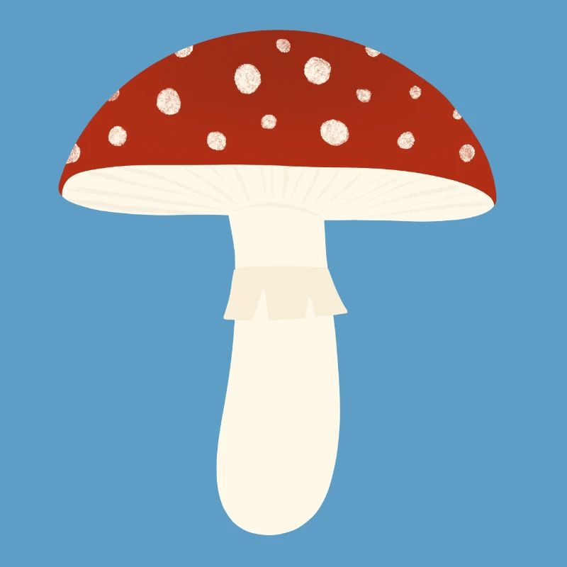 Toadstool Fly Agaric Mushroom